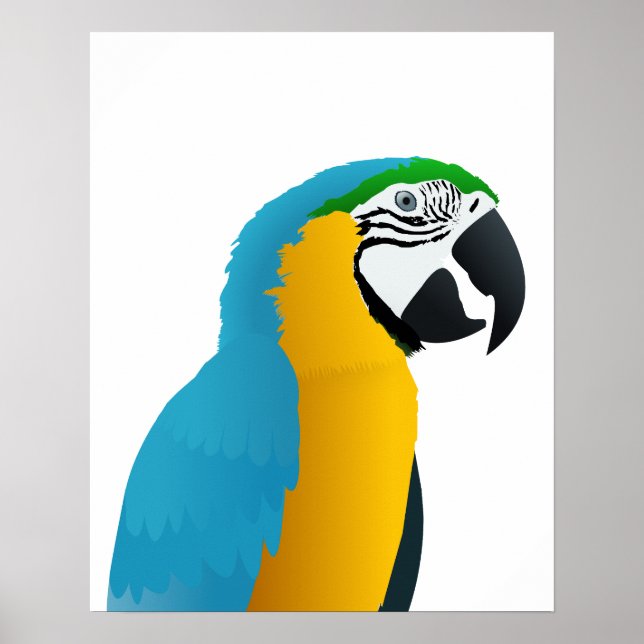 Blå och Gult Macaw Poster (Framsidan)