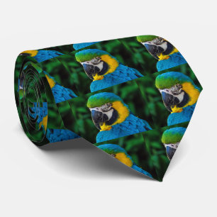 Blå och gult Macaw Slips