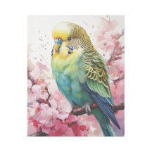 Blå och Gult Parakeet och Cherry Bossoms