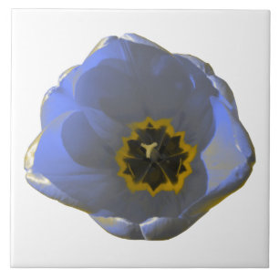 Blå och Gult Tulip Tile Kakelplatta