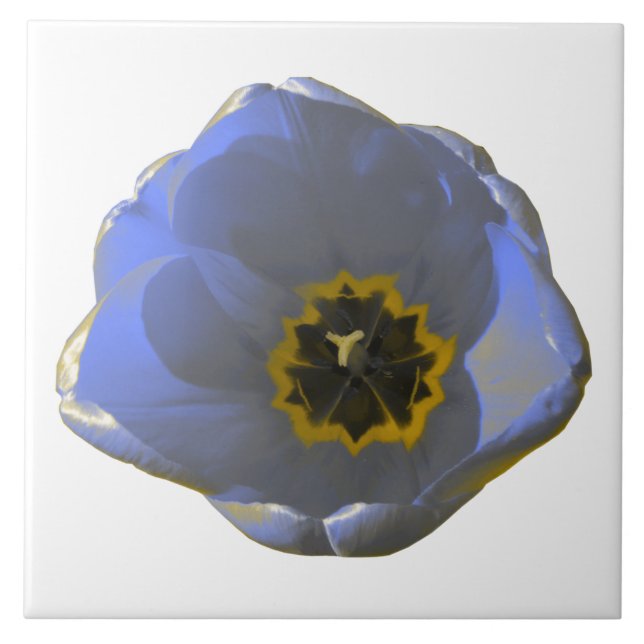 Blå och Gult Tulip Tile Kakelplatta (Framsidan)