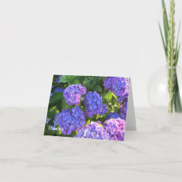 Blå och lila Hydrangea Tack Kort