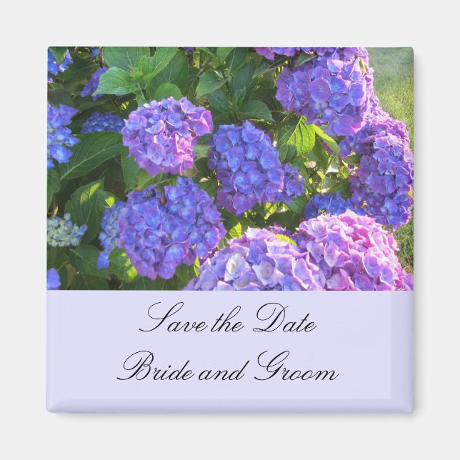 Blå och Lila Hydrangeas Magnet (Framsidan)
