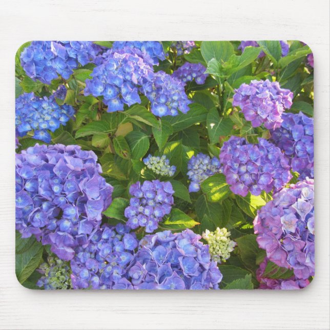 Blå och Lila Hydrangeas Musmatta (Framsidan)