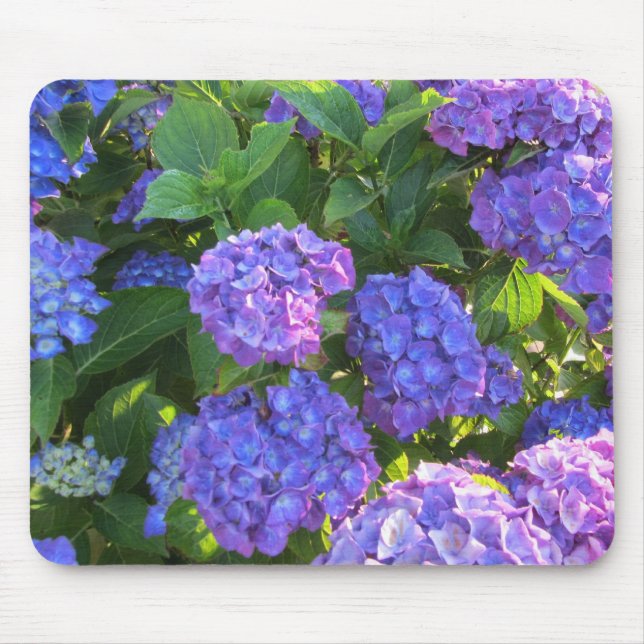 Blå och lila hydrangeor musmatta (Framsidan)