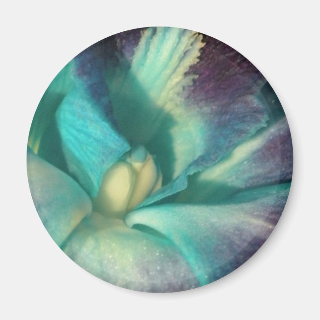 Blå och lila orchid nära magnet (Framsidan)