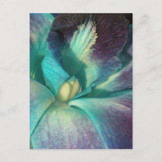 Blå och lila orchid nära vykort