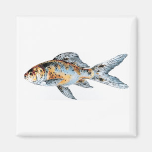 Blå och Orange Shubunkin Goldfish Fine Art Magnet
