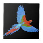 Blå och röd flygande Macaw Kakelplatta<br><div class="desc">Denna ovanliga keramiska bricka visar en ljusare färgad som flyger Macaw mot svart bakgrund. Perfekt för att göra bord ljusare som en underlägg och idealisk gåva.</div>
