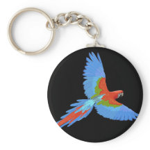 Blå och röd flygande Macaw