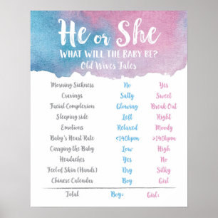 Blå och Rosa Han eller hon Gamves Tale-tecken Poster