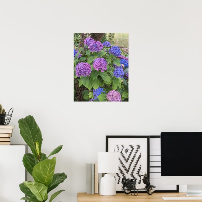 Blå och rosa Hydrangea-blommor Blommig Poster (Hemmakontoret)