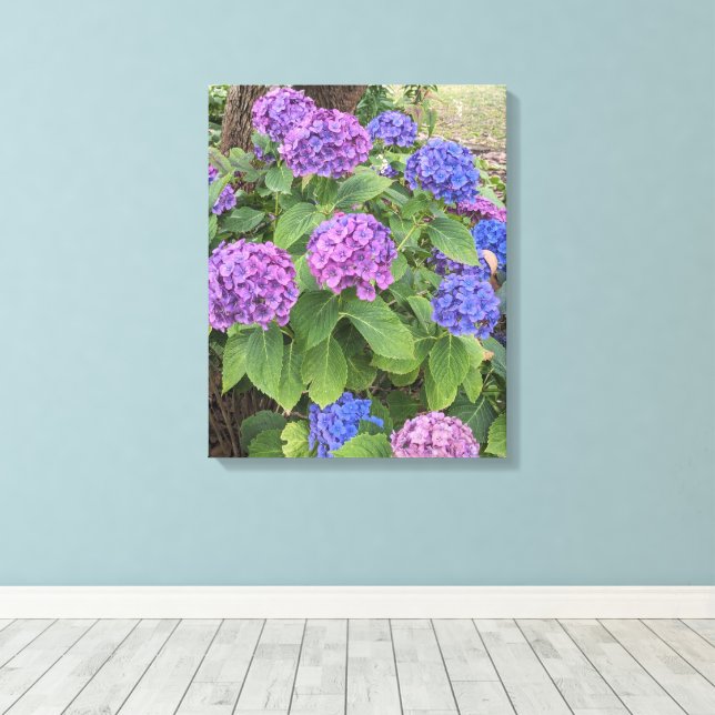 Blå och rosa hydrangeablommor Blommande Canvastryck (Insitu (trägolv))