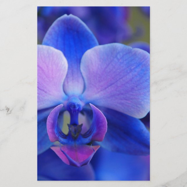 Blå och Rosa Orchid Brevpapper (Framsida)