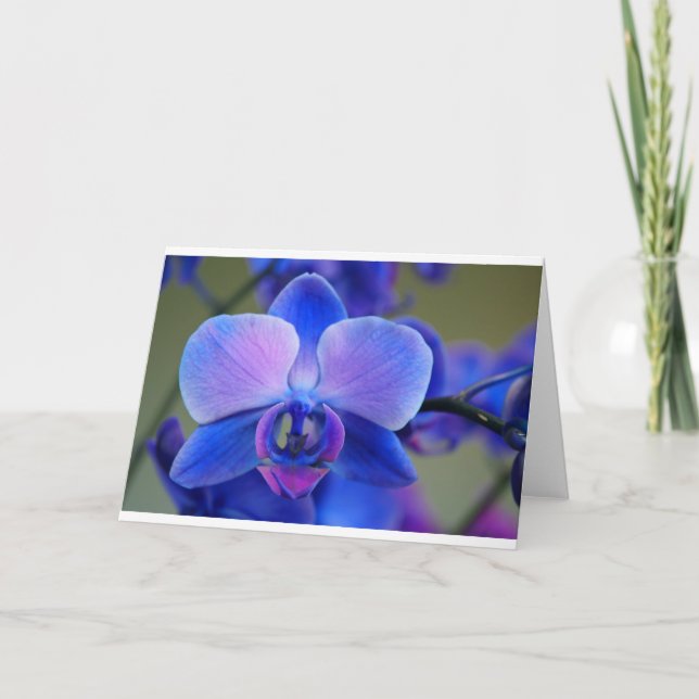 Blå och Rosa Orchid Helgkort (Framsida)