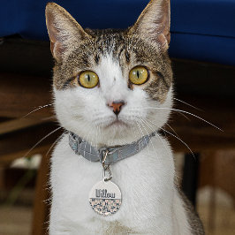 Blå och Rosa Retro-/mitten-/mitten-århundrade Djurbricka