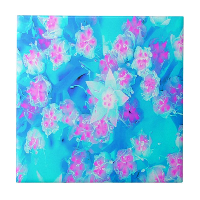 Blå och Shock rosa Succulent Underwater Sedum Kakelplatta (Framsidan)