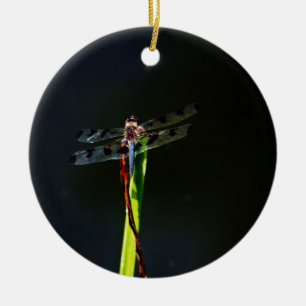 Blå och svart Dragonfly på grönt och rött gräs Julgransprydnad Keramik