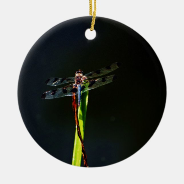 Blå och svart Dragonfly på grönt och rött gräs Julgransprydnad Keramik (Framsidan)