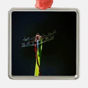 Blå och svart Dragonfly på grönt och rött gräs Julgransprydnad Metall