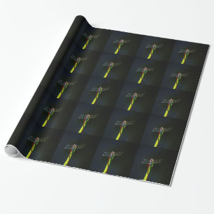 Blå och svart Dragonfly på grönt och rött gräs Presentpapper