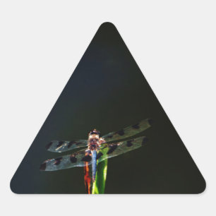 Blå och svart Dragonfly på grönt och rött gräs Triangelformat Klistermärke