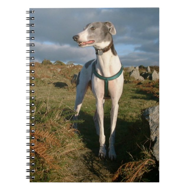 Blå och vit greyhound anteckningsbok (Framsidan)