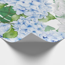Blå och vit Hydrangea