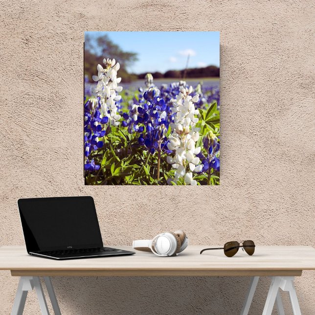 Blå och Vita Bluebonnets Landskaps Satinfinish Fototryck (Skapare uppladdad)