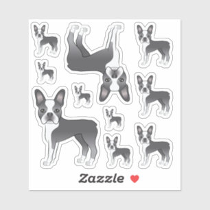 Blå Och Vita Boston Terrier Hundillustrationer Klistermärken