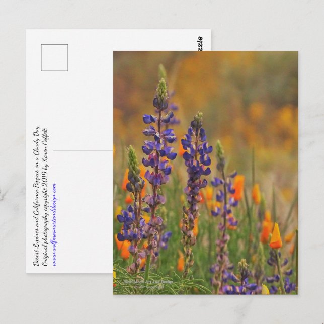 Blå ökningsblommor och Orange Vykort (Fram/baksida)