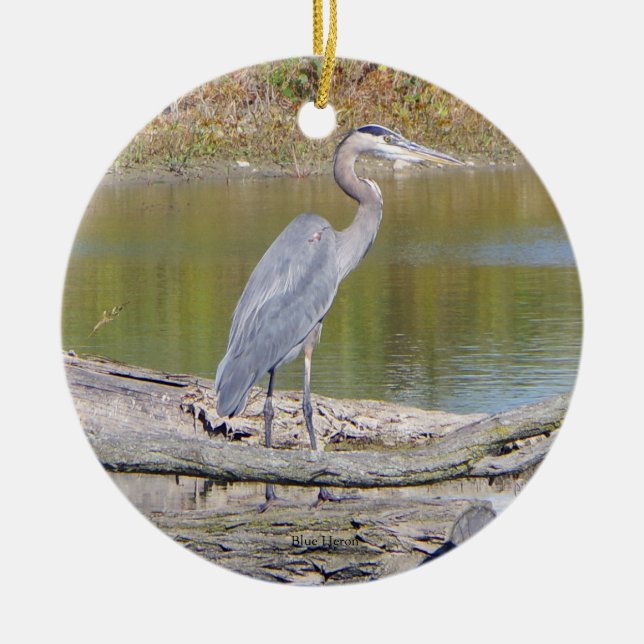 Blå öron-dubbla, utsmyckad ornament (Framsidan)