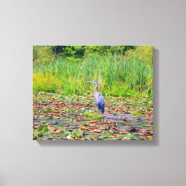 Blå öron, vatten liljor, söt vild fågel, natur canvastryck