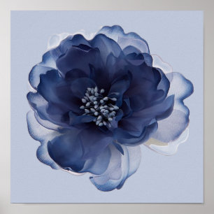 BLÅ PEONY BLOMMA   POSTER