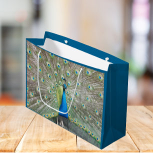 Blå persikor Feather Plumage