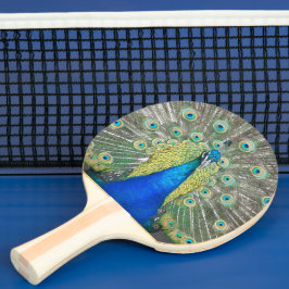 Blå persikor Feather Plumage Pingisracket