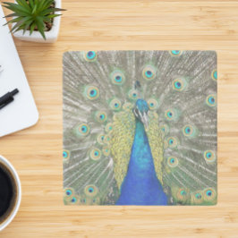 Blå persikor Feather Plumage Stenunderlägg