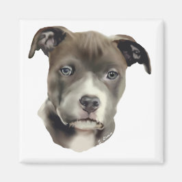 Blå Pitbull Magnet