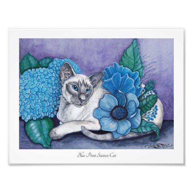 Blå Point Siamese Foto Print (Framsidan)