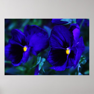 Blå Poster