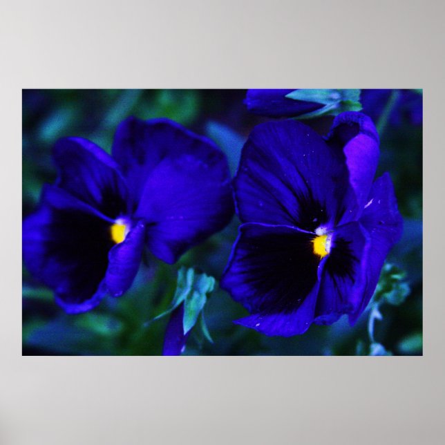 Blå Poster (Framsidan)