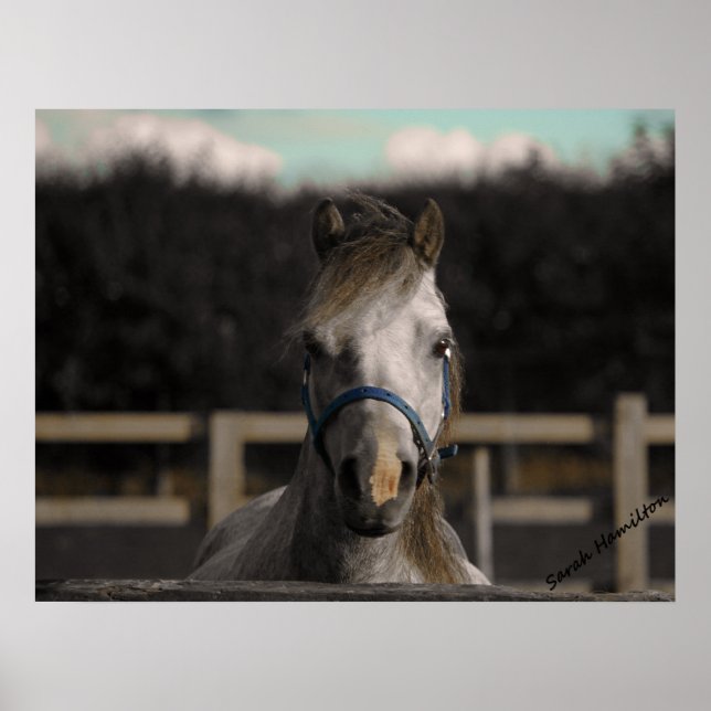 Blå Poster (Framsidan)