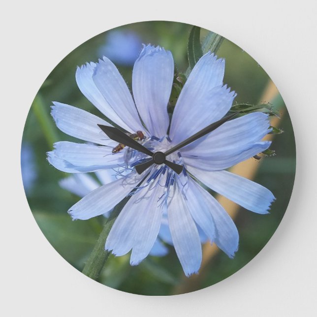 Blå radichioflod N Bee Wall Clock Stor Klocka (Framsida)