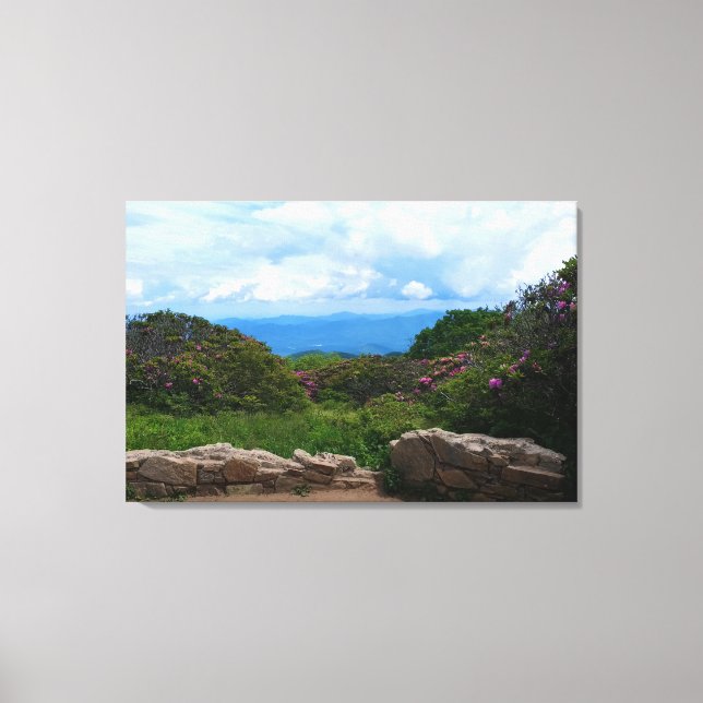 Blå Ridge Vår Canvas Print (Framsida)
