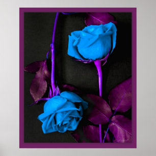 Blå Ro-utskrift - 20 x 24 - andra storlekar tillgä Poster