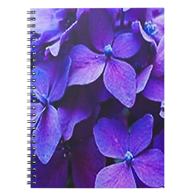                     Blå röd hortensia      Anteckningsbok (Framsidan)