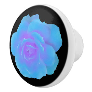 Blå ros skåplucka knopp