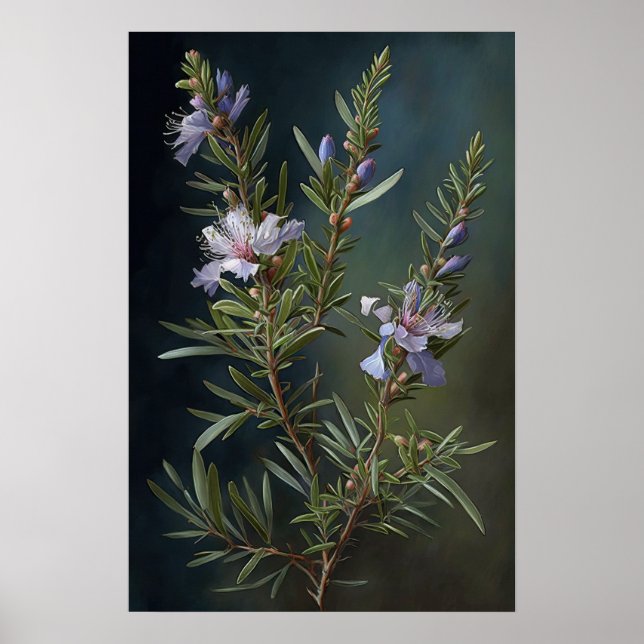 Blå Rosemary Flowers Art Print Poster (Framsidan)