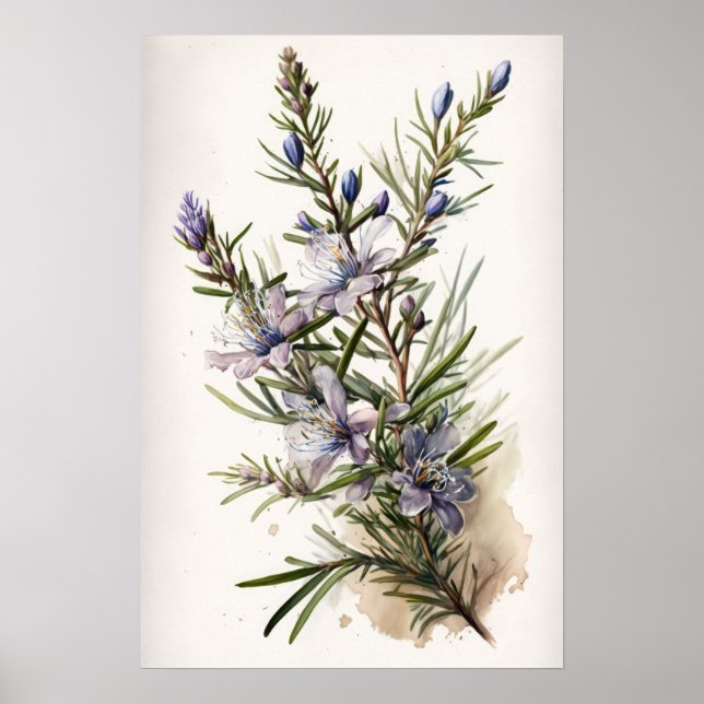 Blå Rosemary Flowers Art Print Poster (Framsidan)