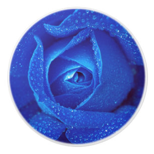 Blå rosenknopp ro-blommans elegant knopp